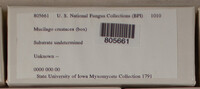 Image Associated With the Occurence